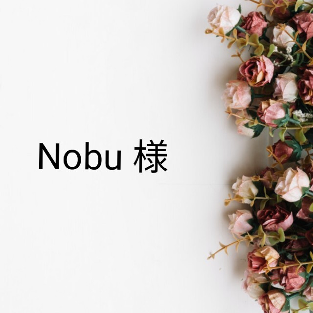 Nobu 様