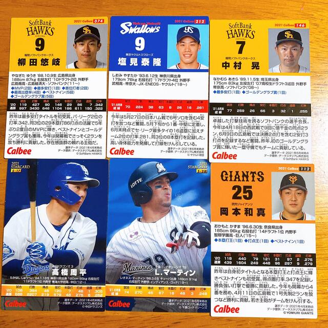 東京ヤクルトスワローズ(トウキョウヤクルトスワローズ)のプロ野球チップス2021カードセット エンタメ/ホビーのタレントグッズ(スポーツ選手)の商品写真