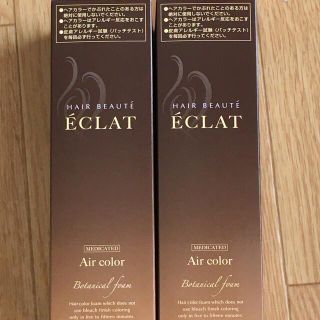 ヘアボーテ　エクラ　ボタニカル　エアカラーフォーム　ダークブラウン150g 2本(白髪染め)