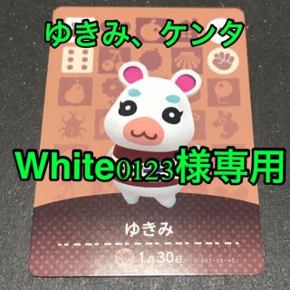 ニンテンドースイッチ(Nintendo Switch)のWhite0123様専用　ゆきみ　ケンタ　アミーボカード(カード)