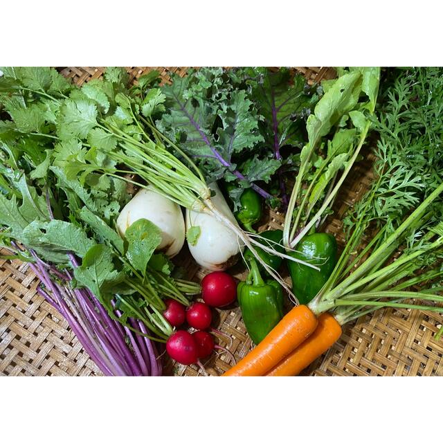 【綾善farm】農薬不使用のお野菜セット　お試し8品60サイズ 食品/飲料/酒の食品(野菜)の商品写真