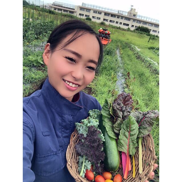 【綾善farm】農薬不使用のお野菜セット　お試し8品60サイズ 食品/飲料/酒の食品(野菜)の商品写真
