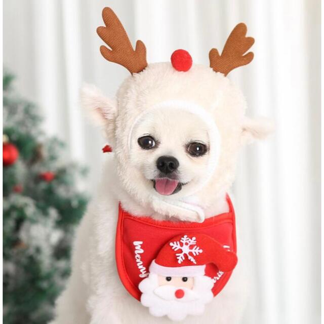 スタイ　帽子　クリスマス　犬　犬用　クリスマス その他のペット用品(犬)の商品写真