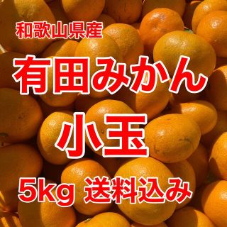 有田みかん🍊小玉🍊5㎏🍊家庭用🍊送料込み(フルーツ)