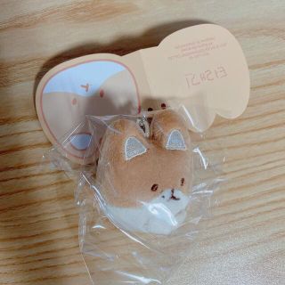 EXO - EXO ベク ベッキョン トレギ ぬいぐるみミニの通販 by