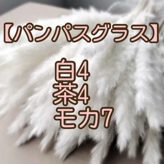 パンパスグラス 白4本 茶色4本 モカ7本 ミックス 15本 ドライフラワー ハンドメイドのフラワー/ガーデン(ドライフラワー)の商品写真