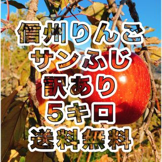 信州りんご★サンふじ【訳あり】約5キロ★送料無料(フルーツ)