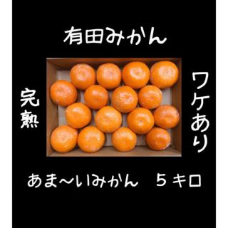 訳あり　有田みかん　5キロ　Sサイズ(フルーツ)