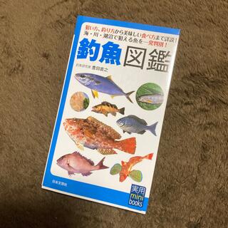 釣魚図鑑(趣味/スポーツ/実用)