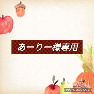 あーりー様　専用(その他)