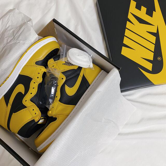 NIKE AIR JORDAN 1 HIGH OG POLLEN 26cm