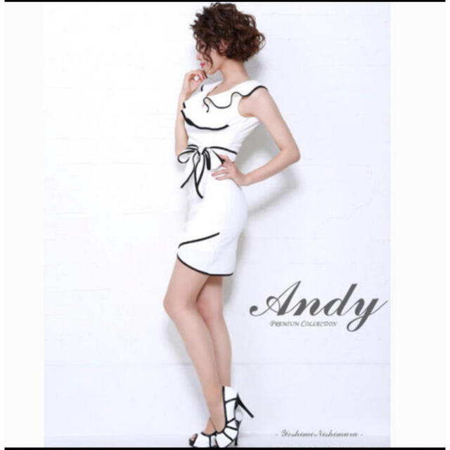 Andy フレアリボン ドレス 1