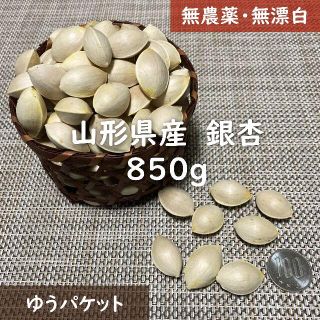 【無農薬★無漂白】山形県産　銀杏　約850g  送料込(野菜)