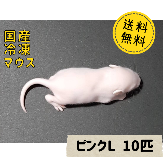 国産冷凍マウス ピンクL 10匹  その他のペット用品(ペットフード)の商品写真