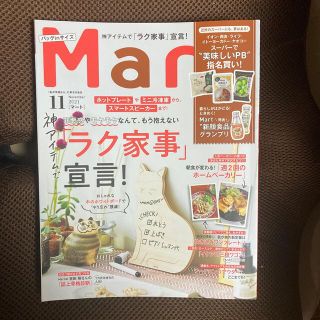 コウブンシャ(光文社)のバッグinサイズ Mart (マート) 2021年 11月号(生活/健康)