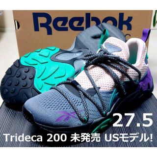 リーボック(Reebok)の27.5 リーボック Trideca 200 グレー×ペールピンク US限定(スニーカー)