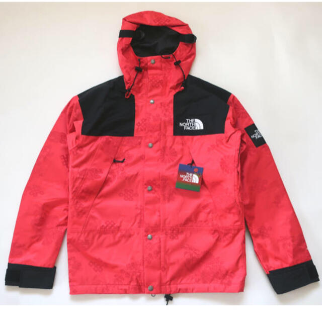 THE NORTH FACE - (L)Nordstrom限定North Face Mountain Jacket
