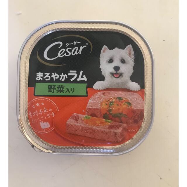 CASAR(シーザー)のシーザー各種 その他のペット用品(ペットフード)の商品写真