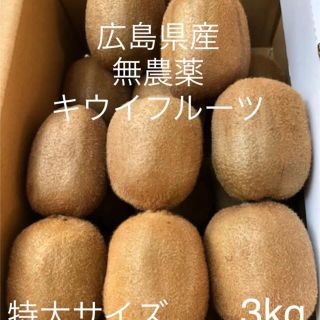 広島県産　無農薬　キウイフルーツ　超特大サイズ 3kg(フルーツ)