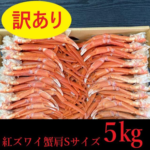 魚介　5kg　訳あり！紅ズワイガニ　冷凍　ボイル　肩　35〜50肩前後入れ