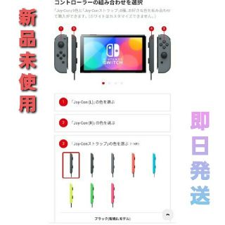 ニンテンドースイッチ(Nintendo Switch)の花衣様 専用(家庭用ゲーム機本体)