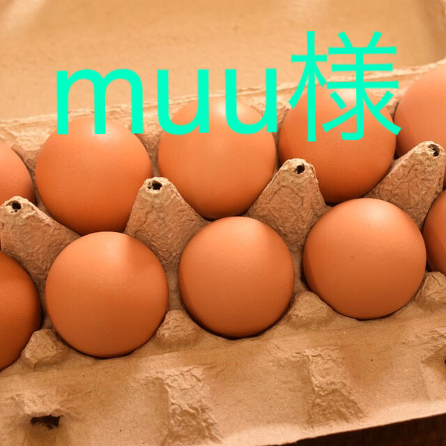 muu様専用　訳ありたまご40個 食品/飲料/酒の食品(野菜)の商品写真