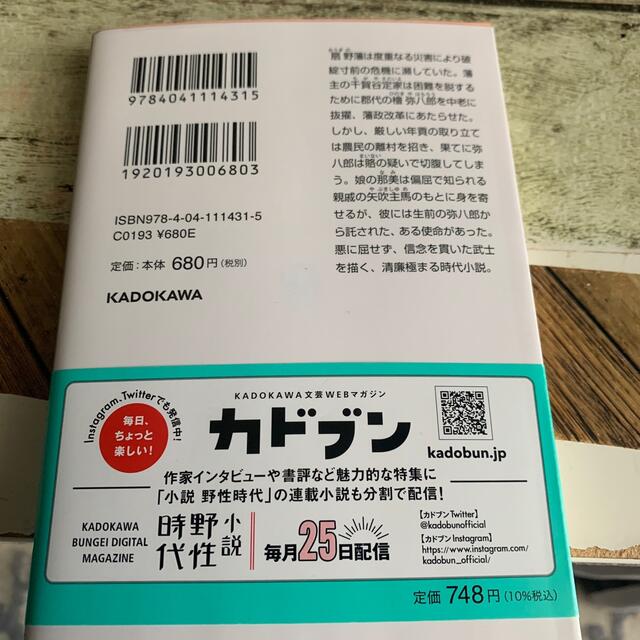 青嵐の坂 エンタメ/ホビーの本(その他)の商品写真