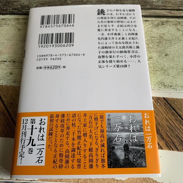 大殿の顔 おれは一万石 エンタメ/ホビーの本(その他)の商品写真