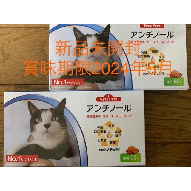 アンチノール猫用90粒2ケースその他