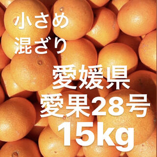 愛媛県　愛果28号　15kg(フルーツ)