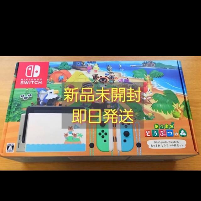 Nintendo Switch - 専用　どうぶつの森2セット