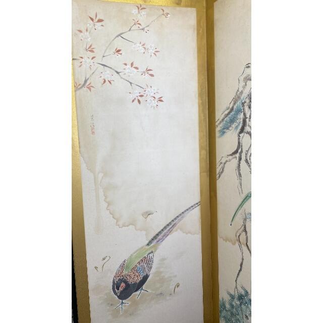 無款 花鳥 上等な 51.0%OFF www.gold-and-wood.com