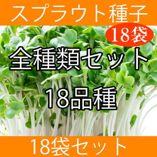 スプラウト種子全種類まとめ買いセット(野菜)