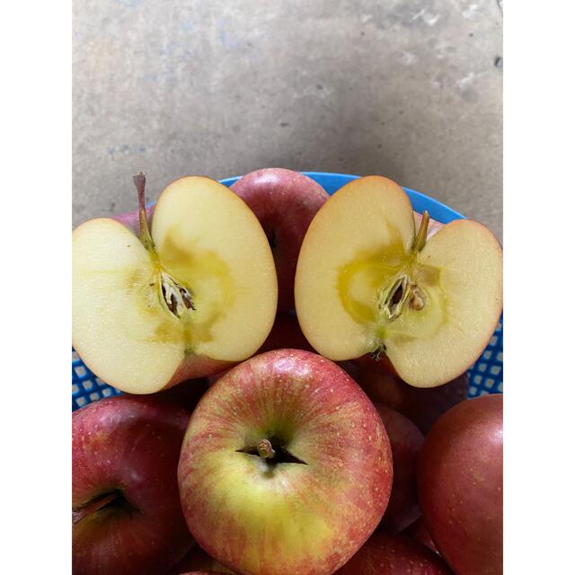 青森りんご　家庭用サンフジ3キロ 食品/飲料/酒の食品(フルーツ)の商品写真