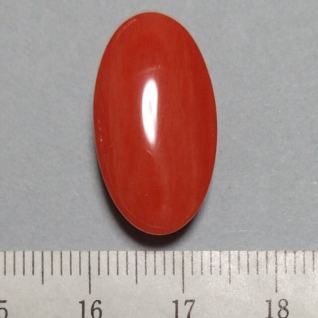 m29 天然 煌 本珊瑚ルース 13.75 ct 2.75 g www.krzysztofbialy.com
