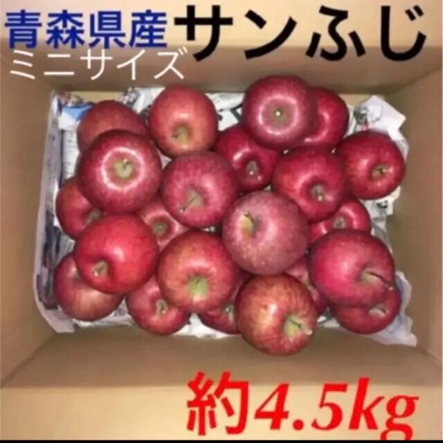 産地直送　サンふじ　青森県産　りんご　訳あり 食品/飲料/酒の食品(フルーツ)の商品写真