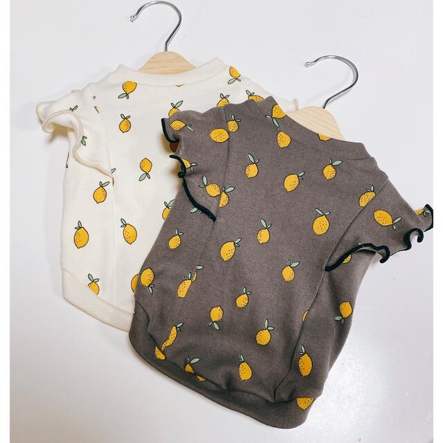 フリル付きタンクトップ　犬服　ハンドメイド