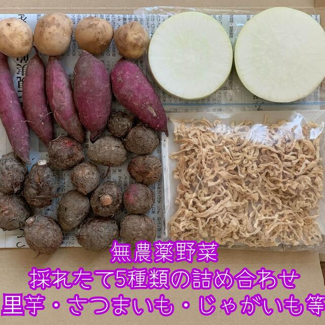 お値下げ✨無農薬野菜＊5種類の詰め合せ＊︎野菜セット＊ネコポス＊里芋・さつまいも 食品/飲料/酒の食品(野菜)の商品写真