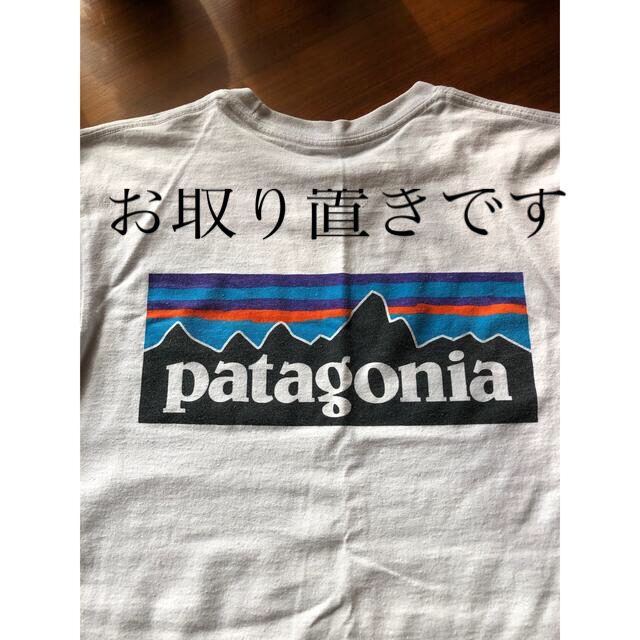 patagonia(パタゴニア)のPatagoniaＴシャツ レディースのトップス(Tシャツ(半袖/袖なし))の商品写真