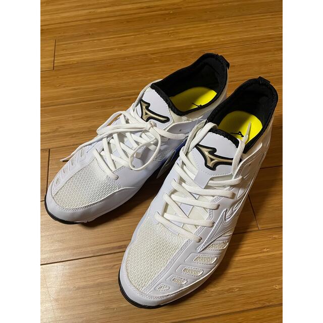 MIZUNO(ミズノ)のSGYさん専用　野球　トレーニングシューズ　30 スポーツ/アウトドアの野球(シューズ)の商品写真