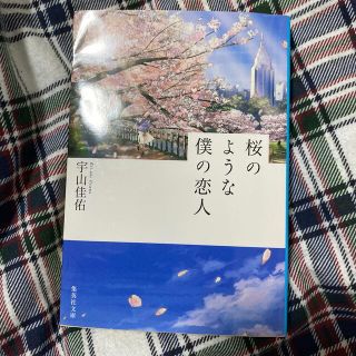 桜のような僕の恋人(文学/小説)