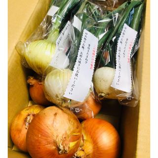 玉ねぎ　新玉ねぎ　混合　淡路島産　5kg箱に入るだけ　② (野菜)