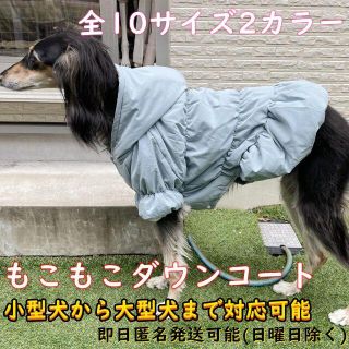 SALE ジャンパー アウター 中型犬 大型犬 犬 ペット 服 DDB5 6 7