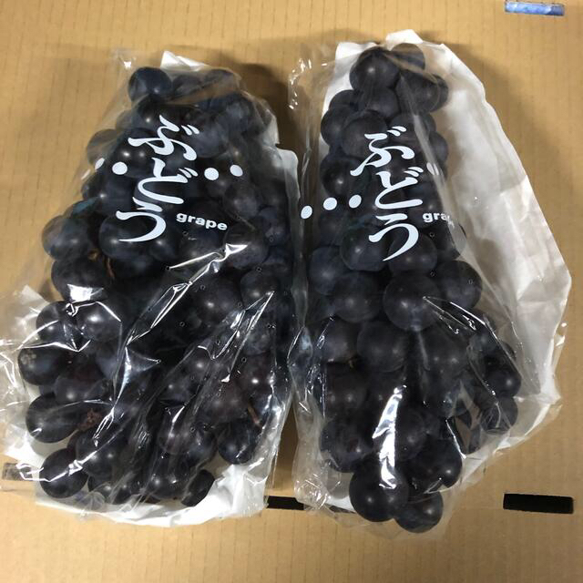 MU414様❤︎専用　シャインマスカット・スチューベン約5kg＋キウイ約3kg 食品/飲料/酒の食品(フルーツ)の商品写真