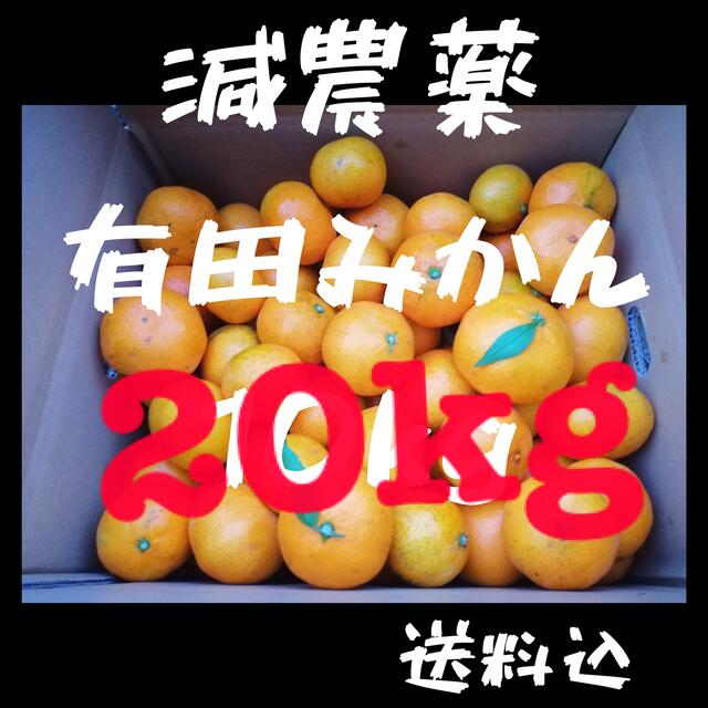 減農薬 有田 みかん 20kg 和歌山 甘い 美味 20キロ 家庭用 食品/飲料/酒の食品(フルーツ)の商品写真