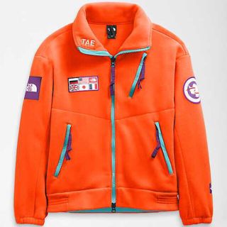 ザノースフェイス(THE NORTH FACE)のThe north face  Trans antarctica フリース(ブルゾン)