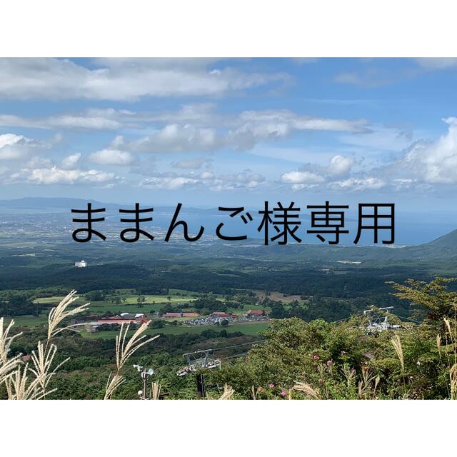 永遠の定番 ままんご様専用ページ - todopoderemanadopovo.com.br