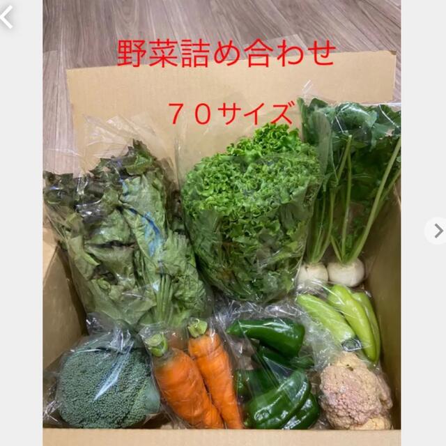 野菜詰め合わせ   70サイズ 食品/飲料/酒の食品(野菜)の商品写真