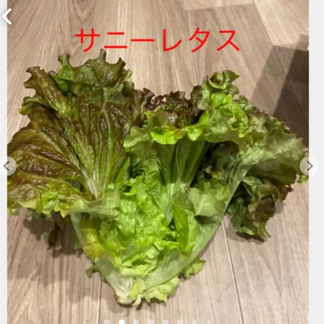 野菜詰め合わせ   70サイズ 食品/飲料/酒の食品(野菜)の商品写真