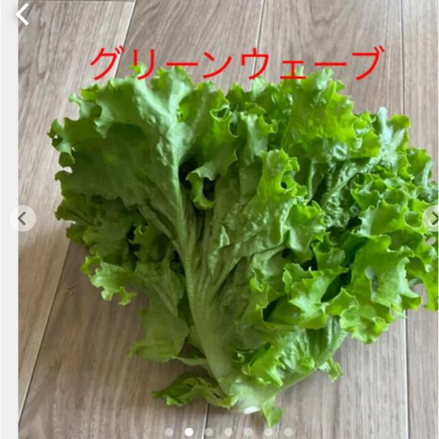 野菜詰め合わせ   70サイズ 食品/飲料/酒の食品(野菜)の商品写真